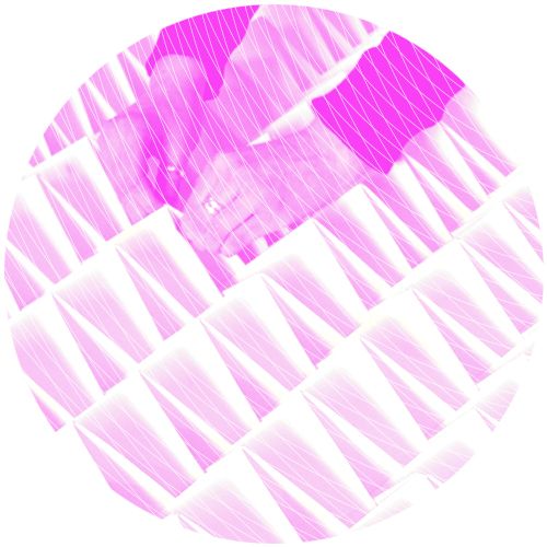 placeholder-round 2020g