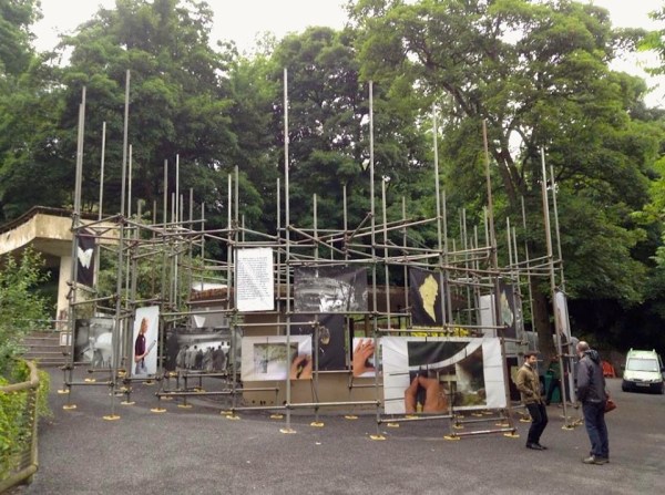 430138_536448329725648_164685231_n