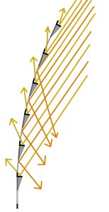 section to show how light reflects off the facade.