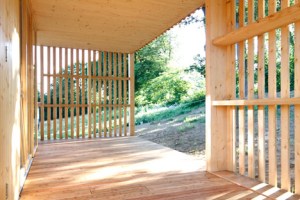 House-Under-the-Oaks-by-Juri-Troy-Architects_dezeen_7 (1)
