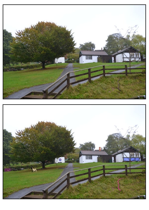 Spot the difference 1