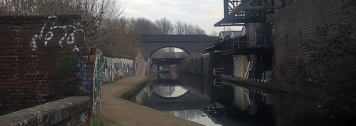 wp_20170123_14_33_38_pro