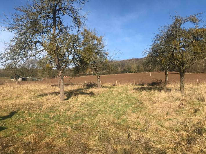 28171078_435432980206762_1314334472_o