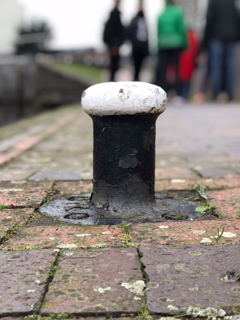 ff072b1d-4f04-4058-a4ef-aa81984c8ec0