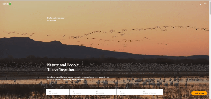 homepage