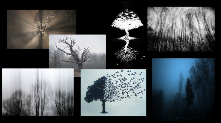 WhatsApp Image 2018-02-20 at 20.12.34.jpeg