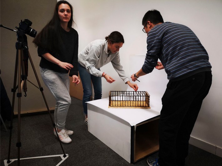 structural model set up